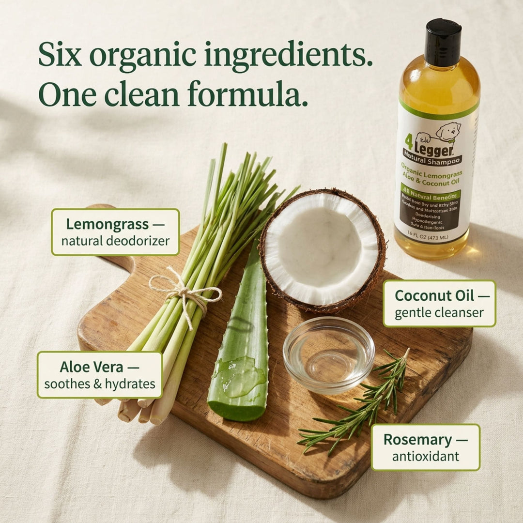 Six organic ingredients in 4-Legger USDA certified organic dog shampoo: lemongrass aloe vera coconut oil and rosemary