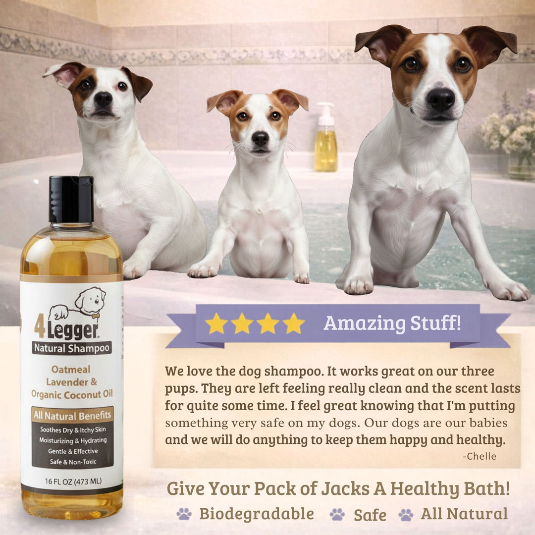 4-Legger organic oatmeal dog shampoo is safe for all breeds, puppies, seniors, dry skin, and allergies