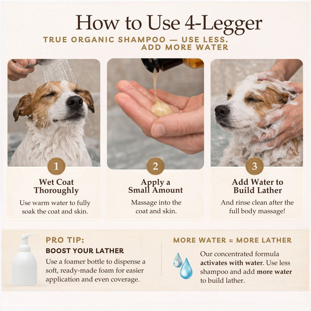 How to use 4-Legger concentrated organic dog shampoo — use less, add water to build lather