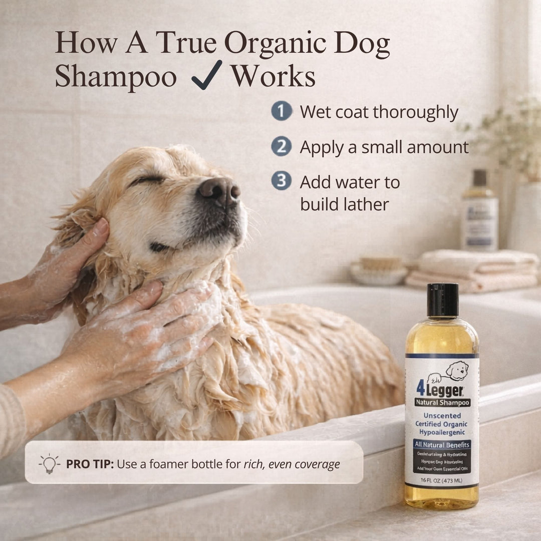 How 4-Legger unscented organic dog shampoo works — wet coat apply small amount add water to build lather