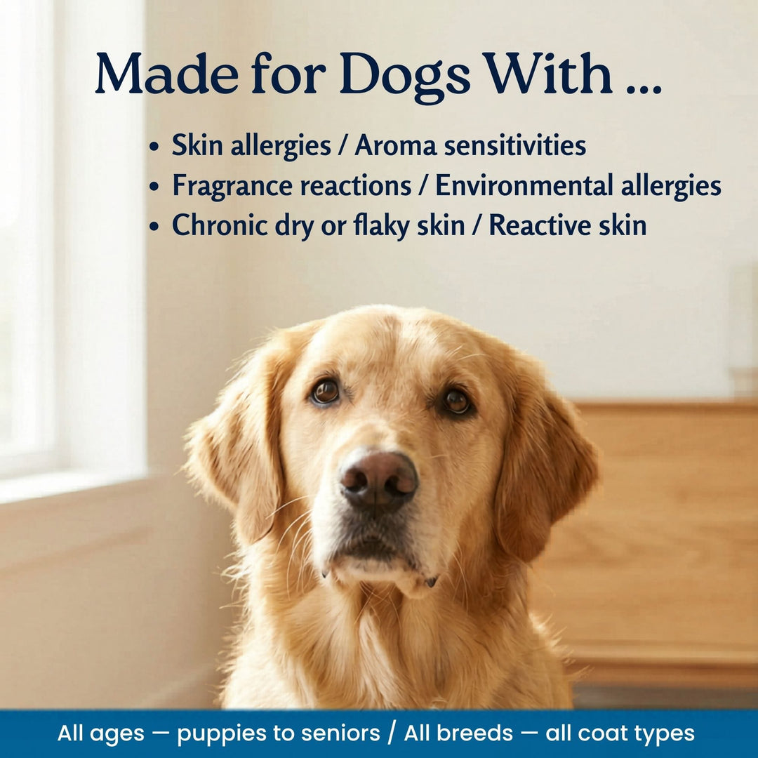 Golden Retriever — 4-Legger unscented organic dog shampoo made for dogs with skin allergies and sensitivities