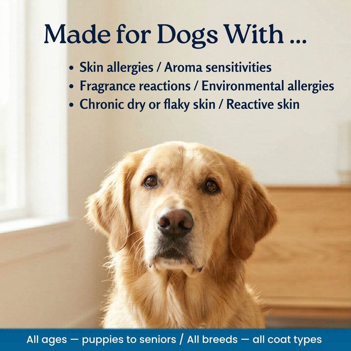 Golden Retriever — 4-Legger unscented organic dog shampoo made for dogs with skin allergies and sensitivities