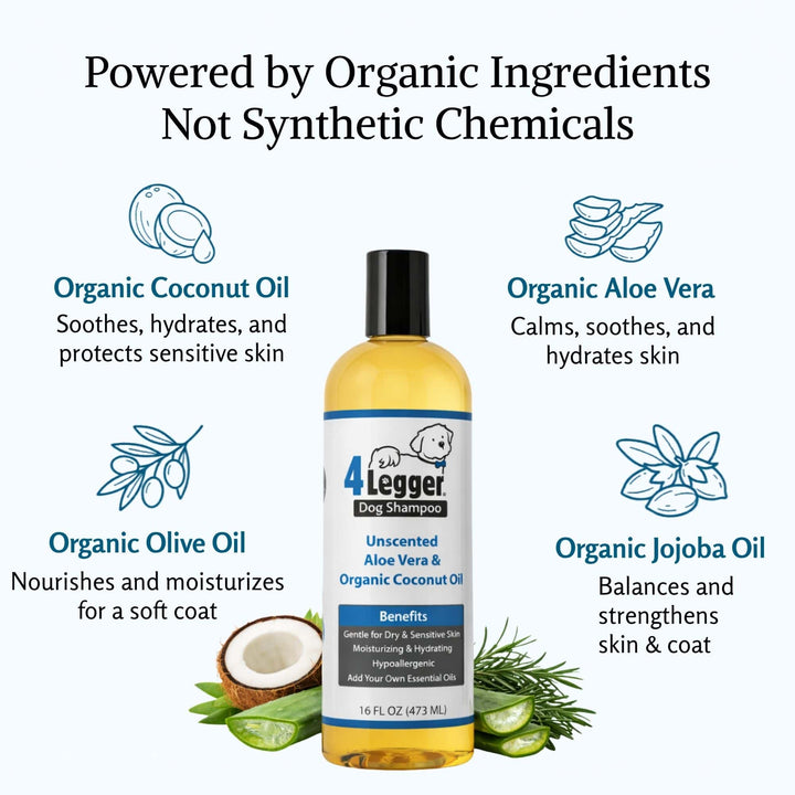 4-Legger unscented dog shampoo powered by organic coconut aloe olive and jojoba oil ingredients
