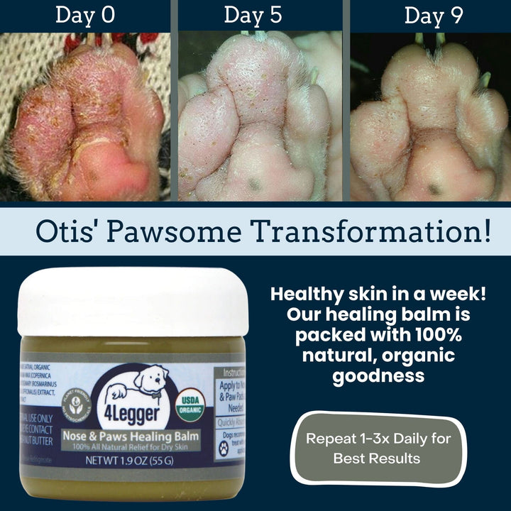 USDA Certified Organic Healing Balm for Dog Nose and Paw Pads