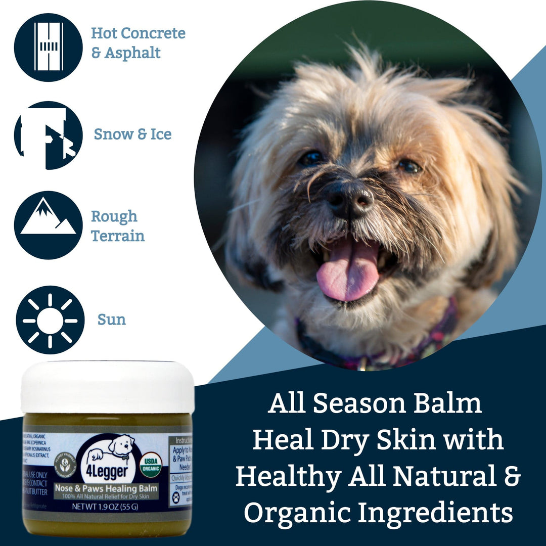 healing paw balm for dog dry skin nose and paws