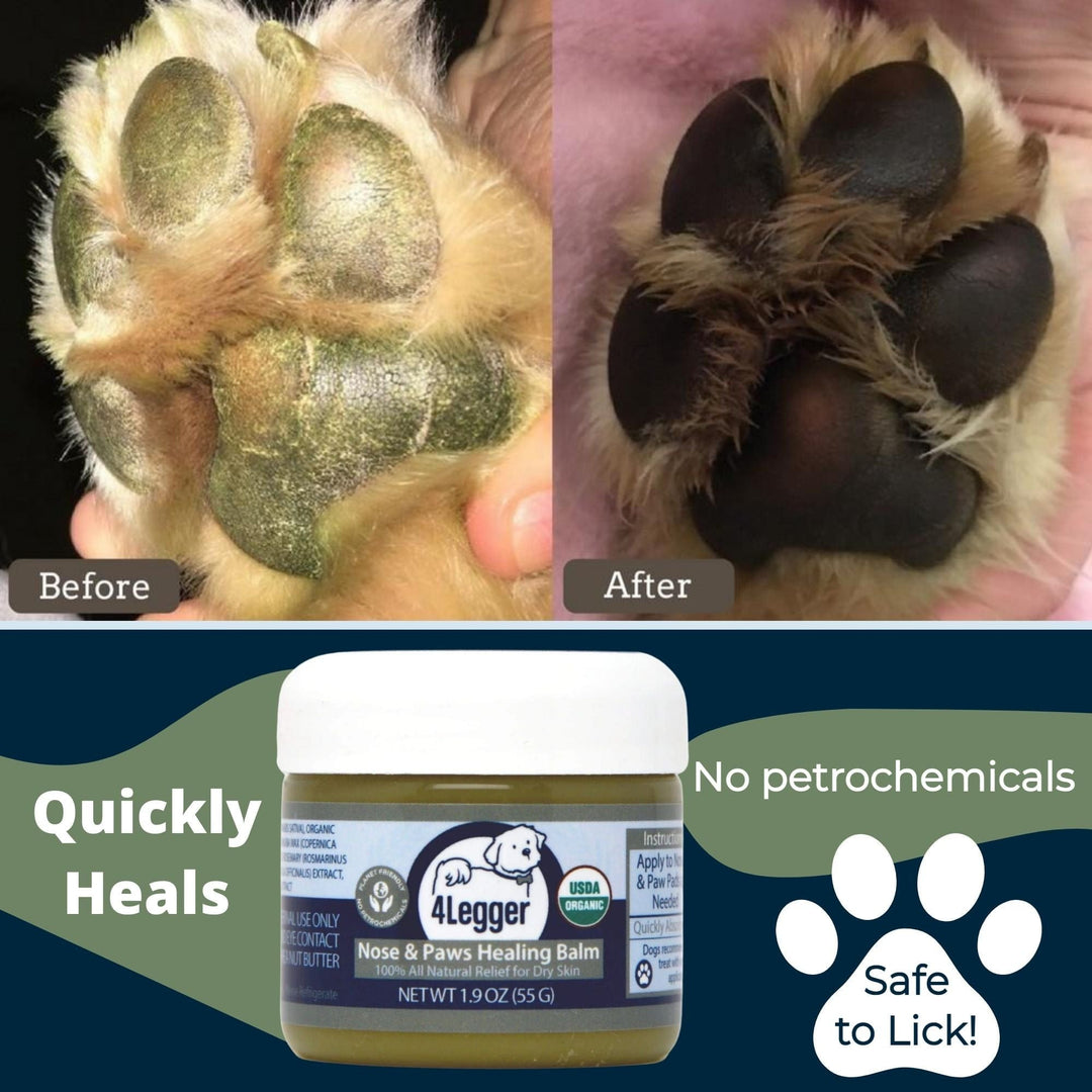 Best Paw Balm for Dog | dog lotion | dog moisturizer for dry skin