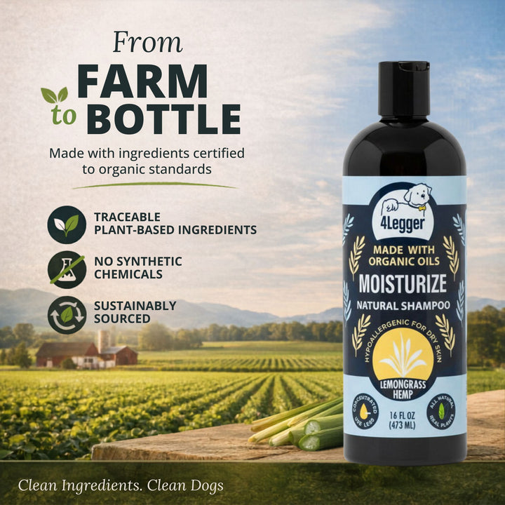 4-Legger clean ingredients clean dogs — organic lemongrass hemp shampoo made in small batches