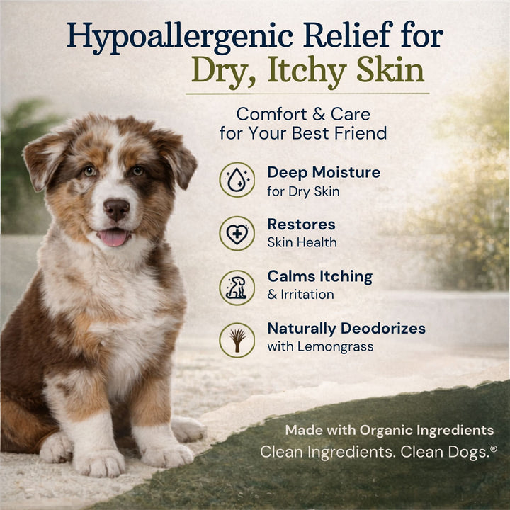 Max relaxed post-bath — 4-Legger organic shampoo for dogs with sensitive skin, all life stages