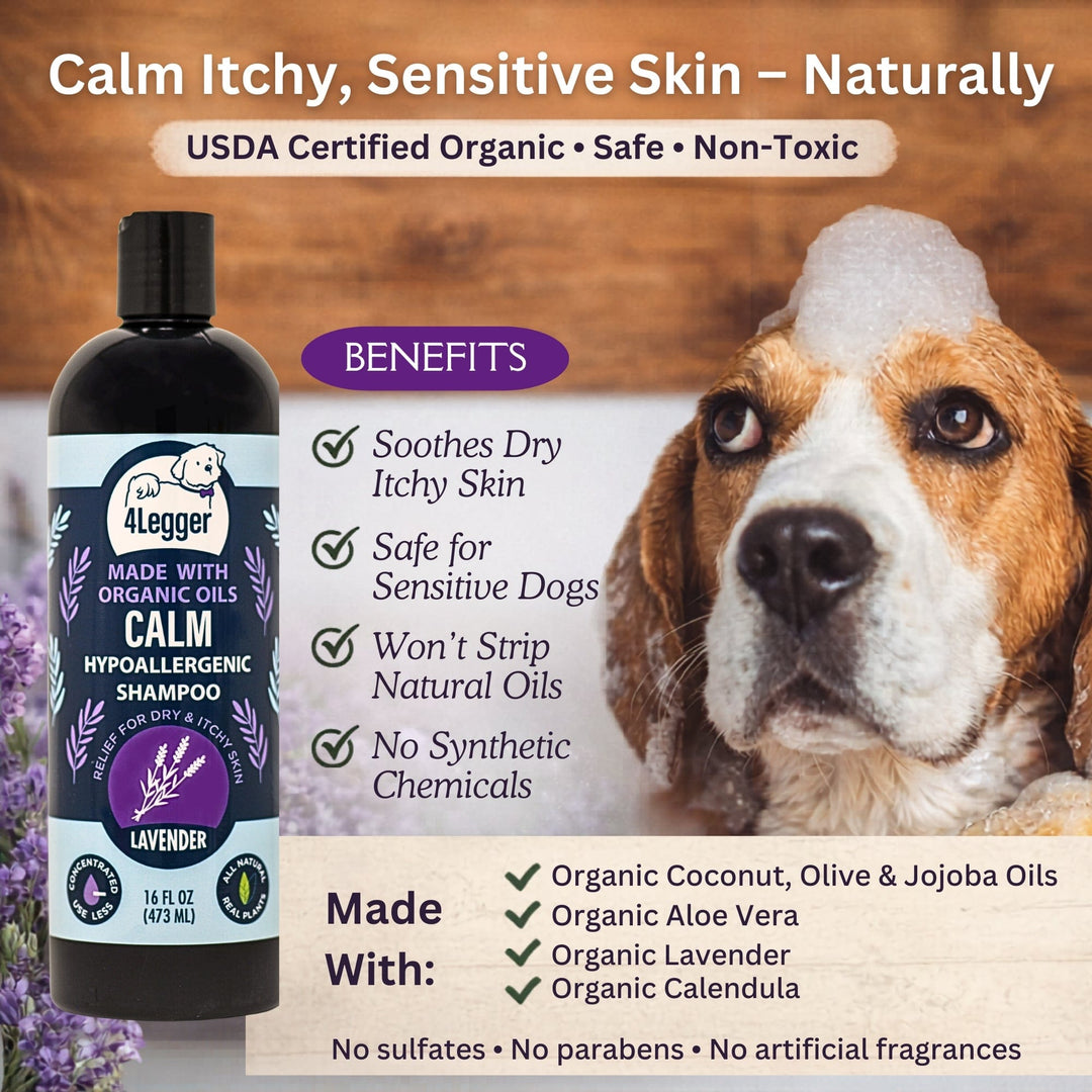 Organic lavender, calendula, and St. John's Wort formula in 4-Legger CALM dog shampoo