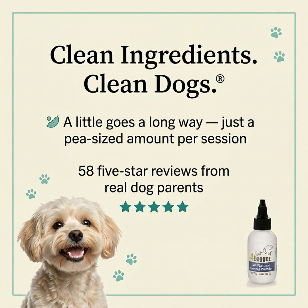 Clean Ingredients Clean Dogs — 4-Legger natural dental powder — 58 five-star reviews, a little goes a long way