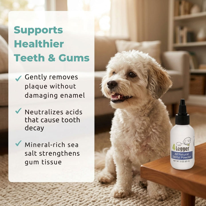 4-Legger dental powder supports healthier teeth and gums — gently removes plaque, neutralizes acids, strengthens gum tissue