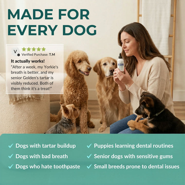 4-Legger dental powder made for every dog — tartar buildup, bad breath, puppies, seniors, sensitive gums, and small breeds prone to dental issues