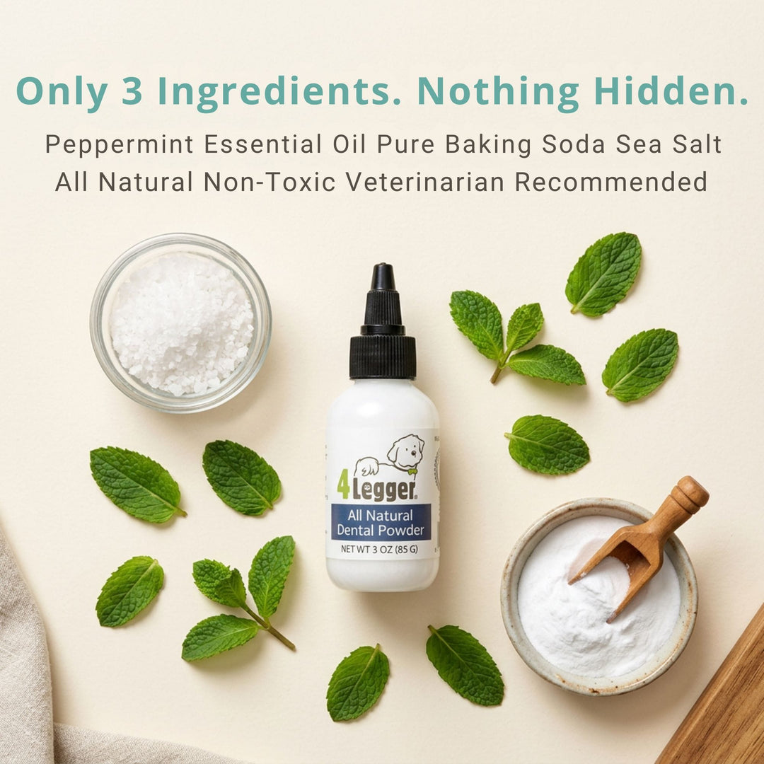 Only 3 ingredients in 4-Legger dental powder — peppermint essential oil, baking soda, sea salt — all natural, non-toxic dog toothpaste veterinarian recommended