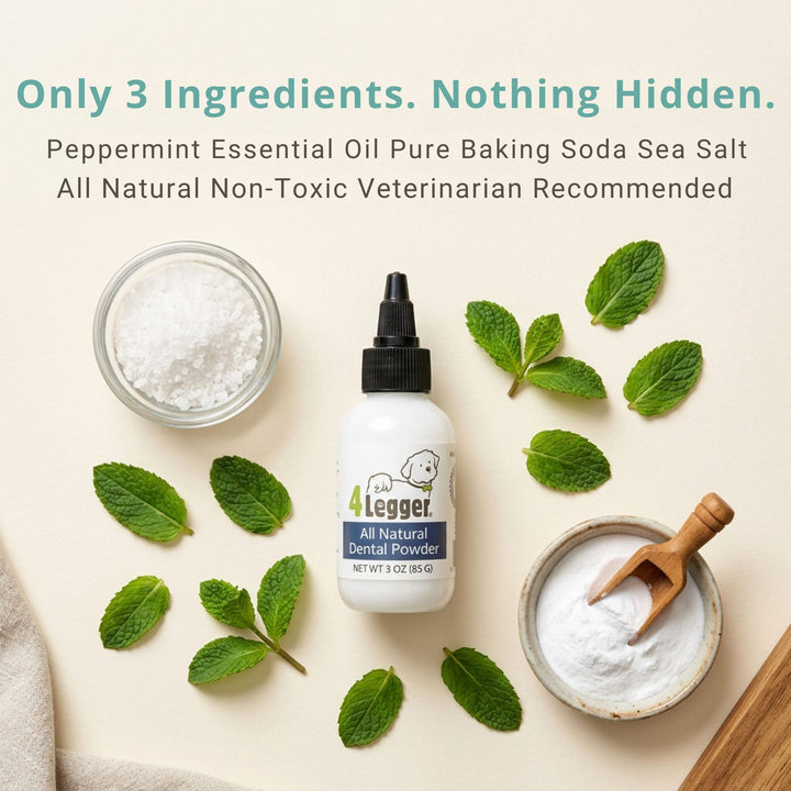 Only 3 ingredients in 4-Legger dental powder — peppermint essential oil, baking soda, sea salt — all natural, non-toxic dog toothpaste veterinarian recommended