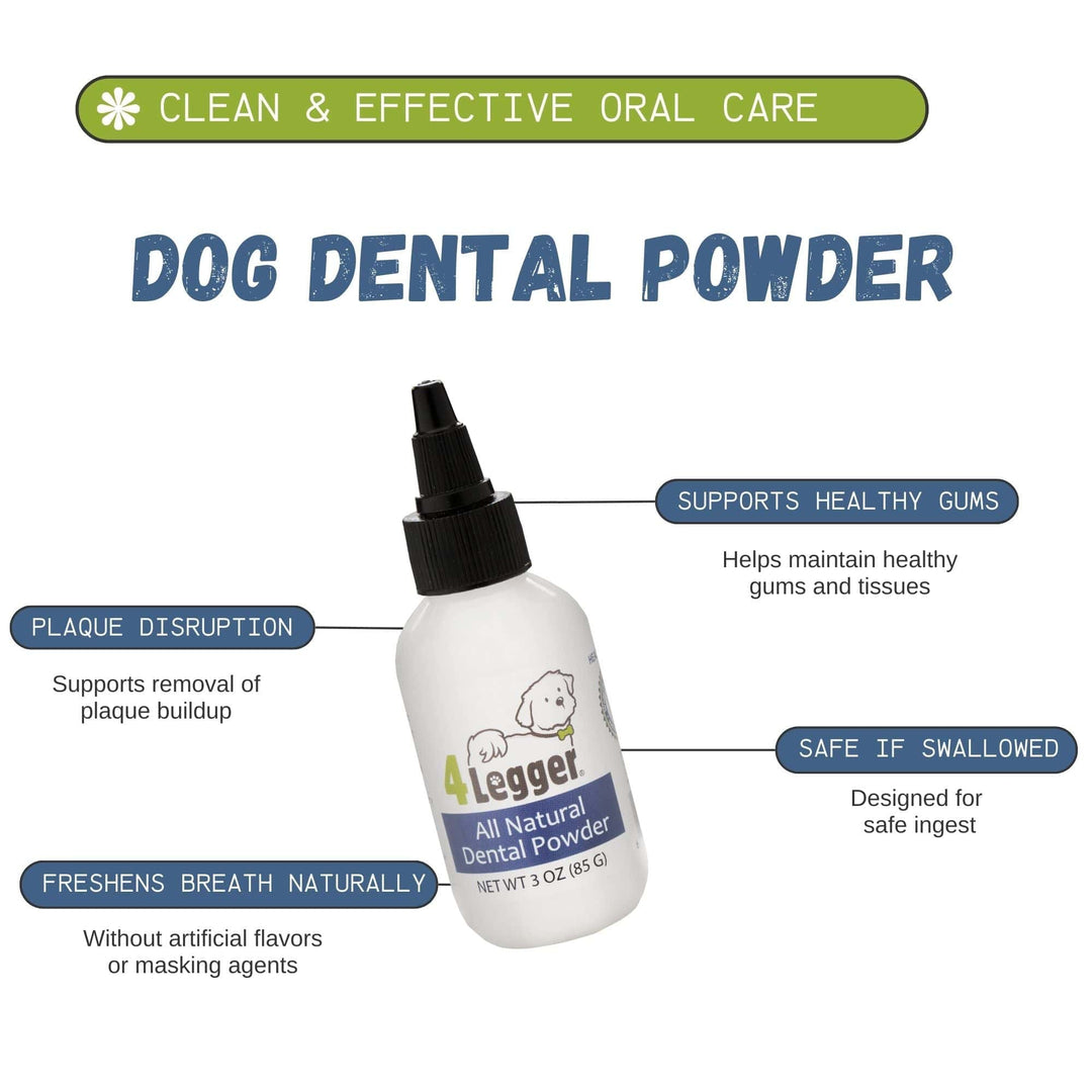 safe dog dental care
