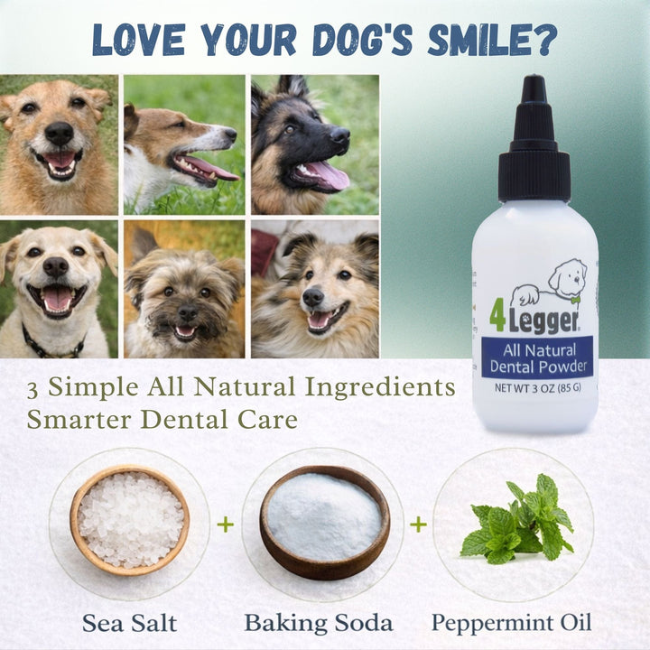 ingredients in all natural dental powder