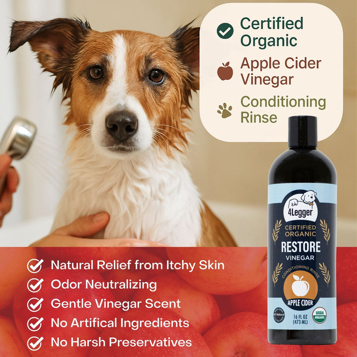 best organic dog conditioner for itchy skin