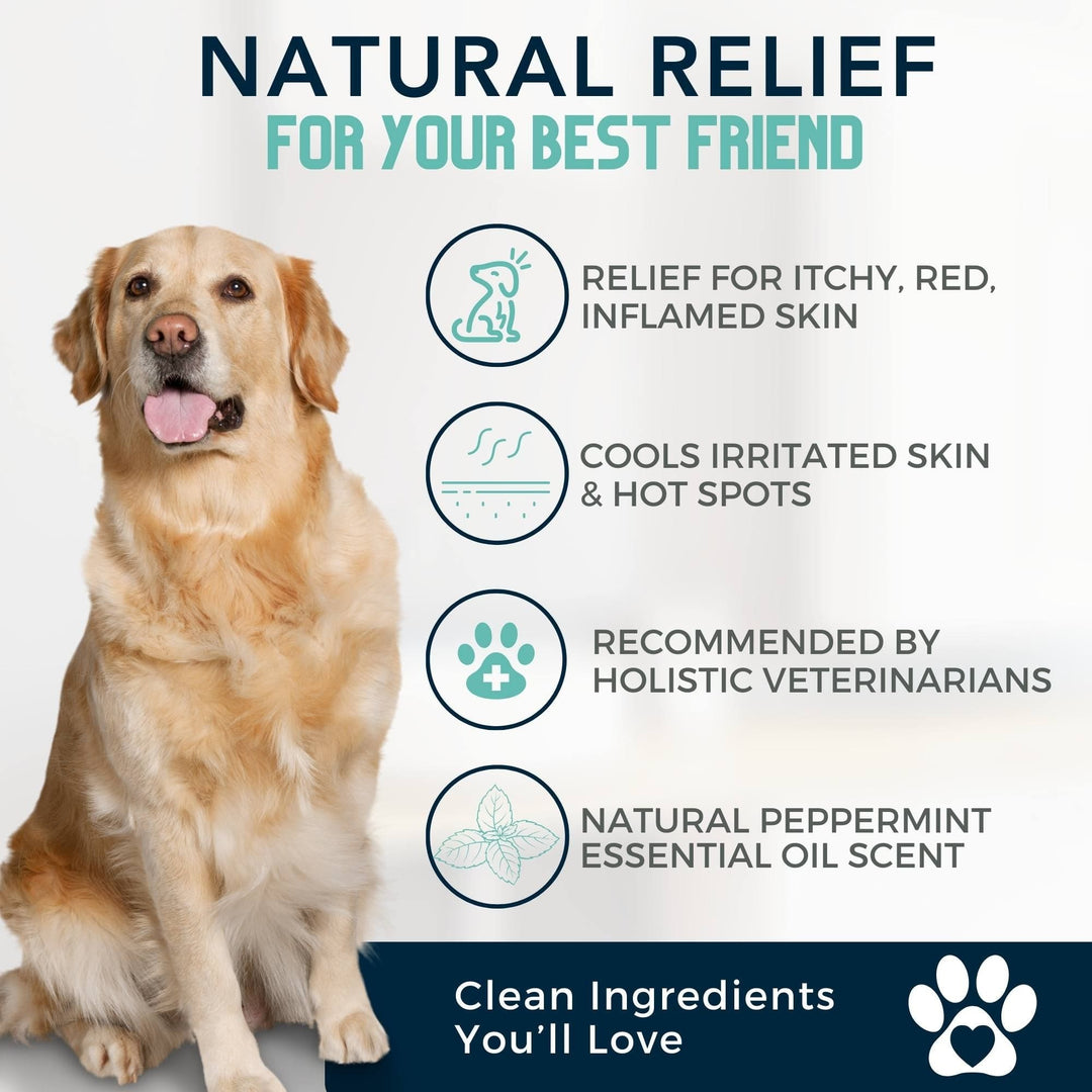 hot spot dog shampoo | antifungal dog shampoo