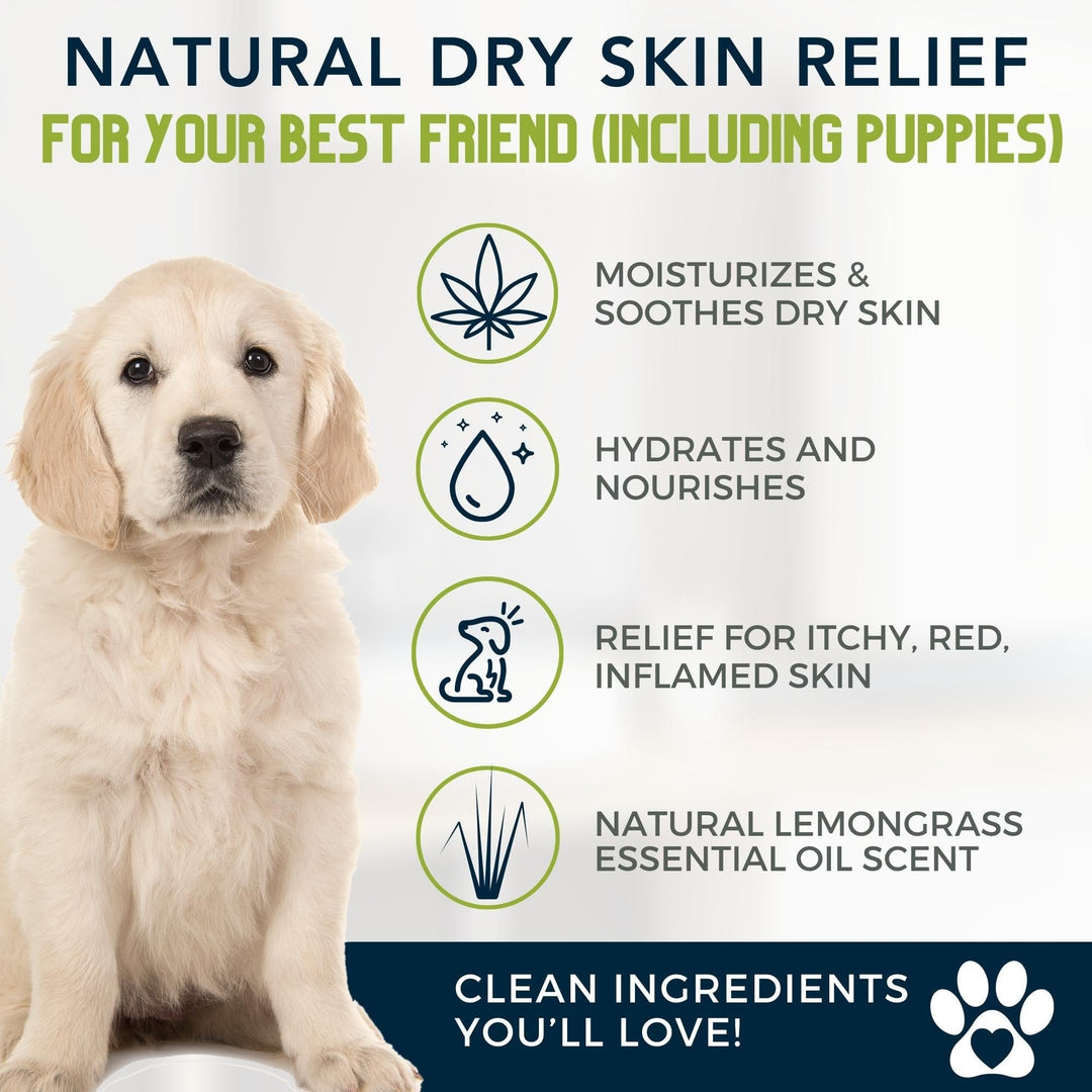 best hypoallergenic dog shampoo sensitive skin