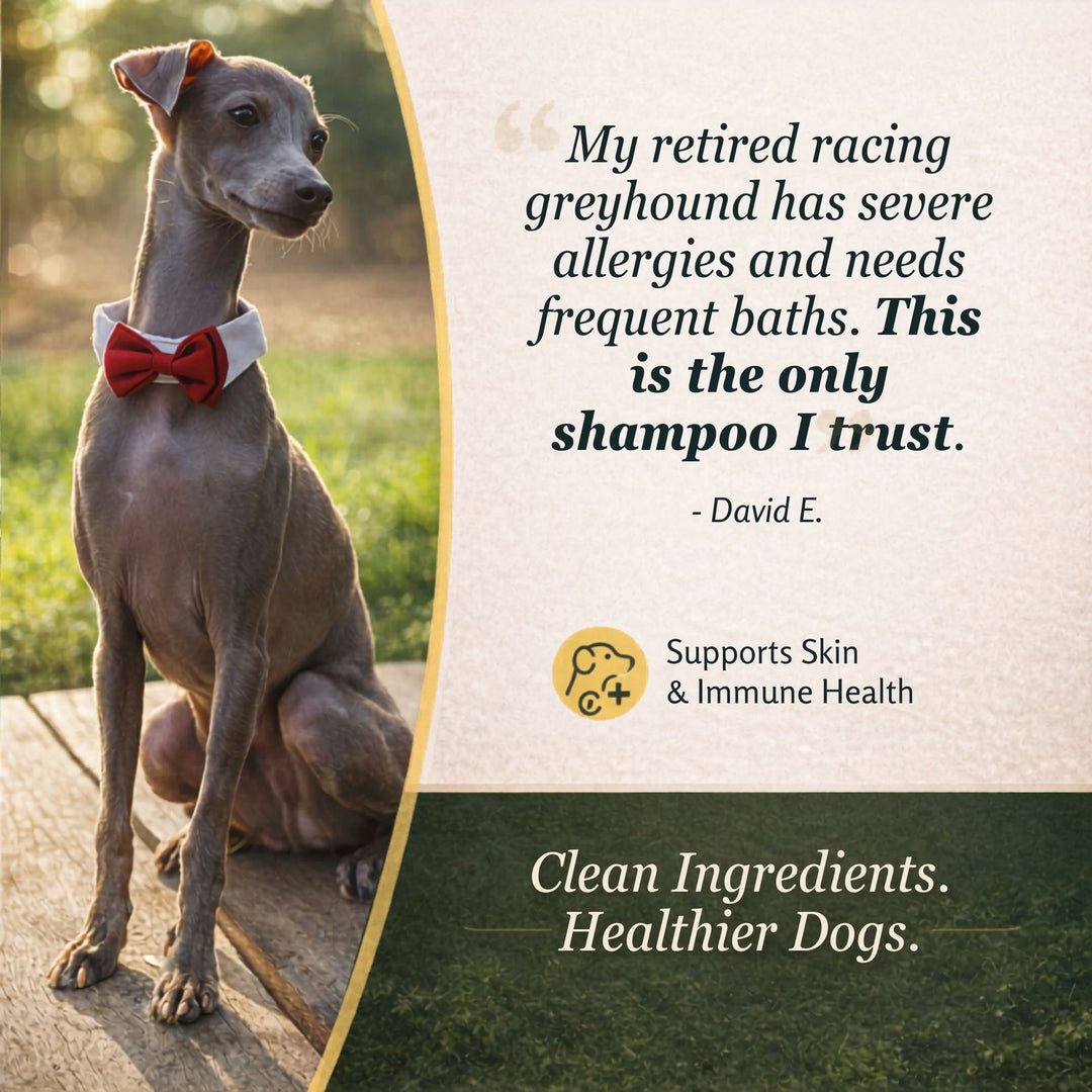 lemongrass hemp dog shampoo review from greyhound with sensitive skin