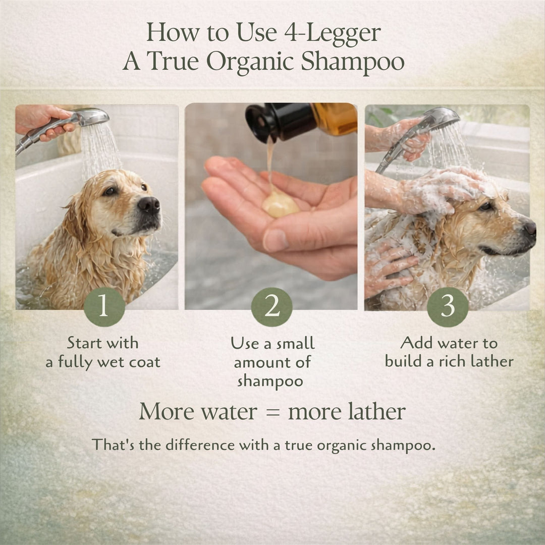 Hands applying 4-Legger lemongrass hemp shampoo through wet dog fur — more water equals more lather technique