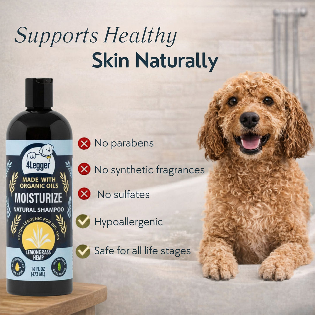 4-Legger Lemongrass Hemp dog shampoo — 4.91 stars from 74 verified dog owner reviews