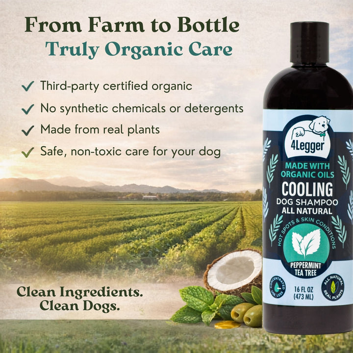 4-Legger COOLING organic dog shampoo — third-party certified, no synthetic chemicals, made from real plants