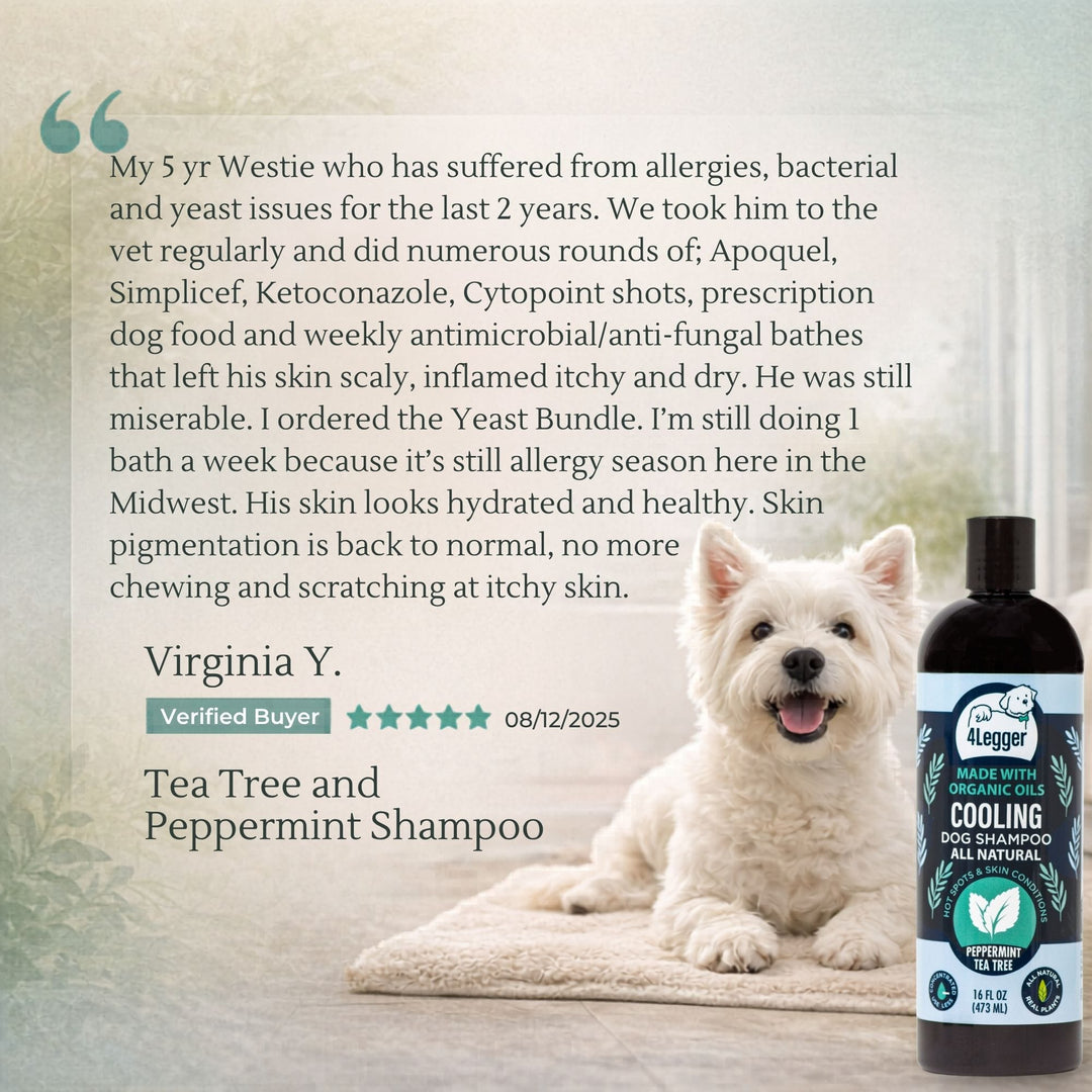 5-star review — Westie owner switched from Apoquel and Cytopoint to 4-Legger COOLING organic tea tree dog shampoo