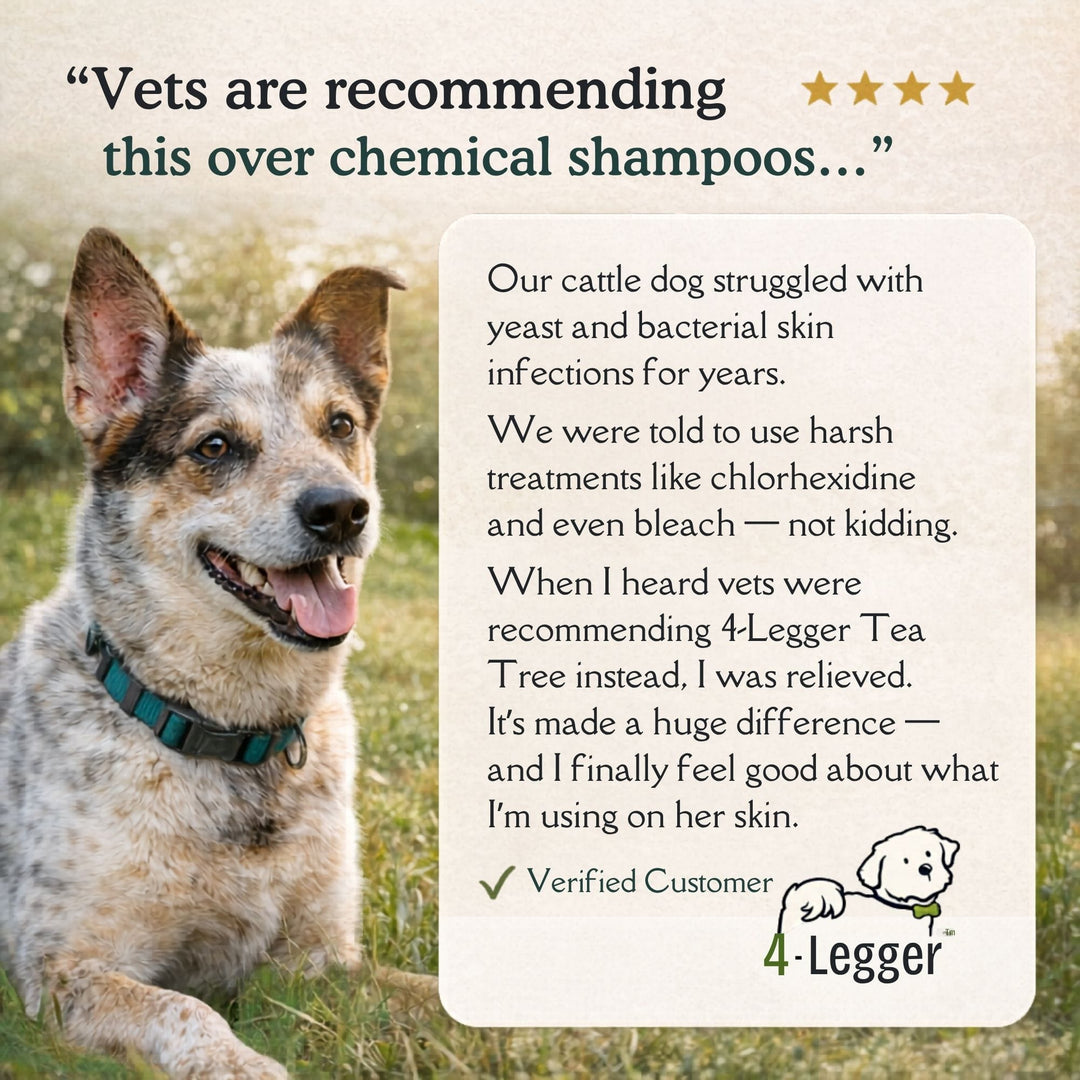 5-star review — vets recommending 4-Legger COOLING organic tea tree dog shampoo over chemical medicated shampoos