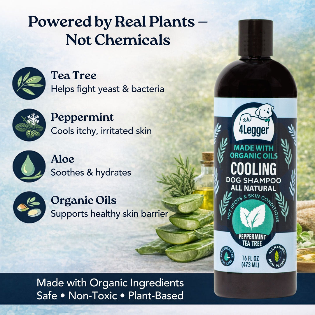 COOLING organic dog shampoo powered by real plants — tea tree, peppermint, aloe and organic oils by 4-Legger