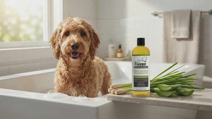 lemongrass and aloe product overview video