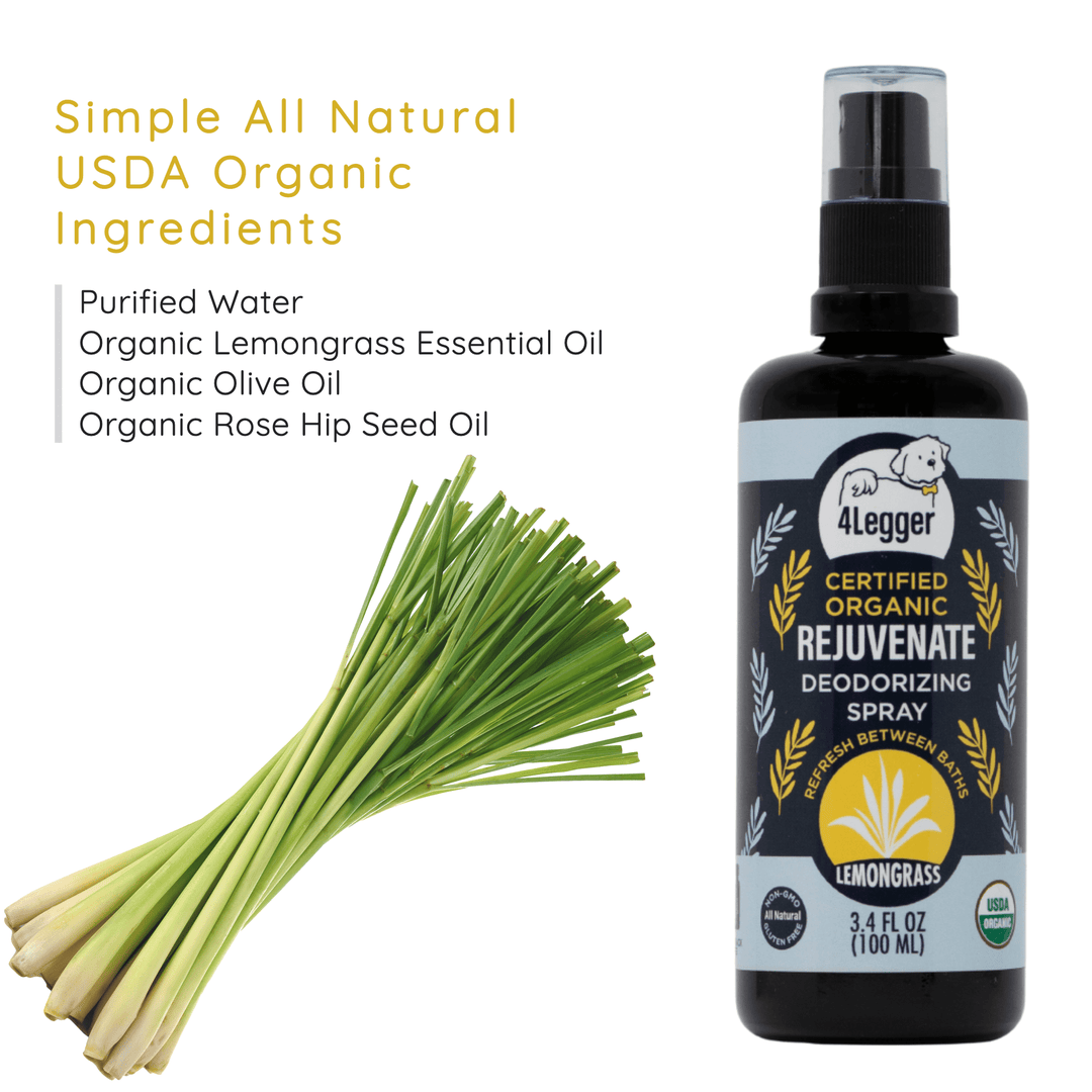 USDA Certified Organic Lemongrass Dog Deodorizing Spray - Rejuvenate