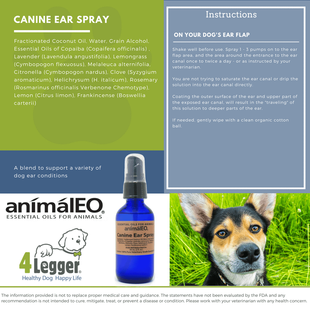 clean dog's ears with natural pet safe essential oils