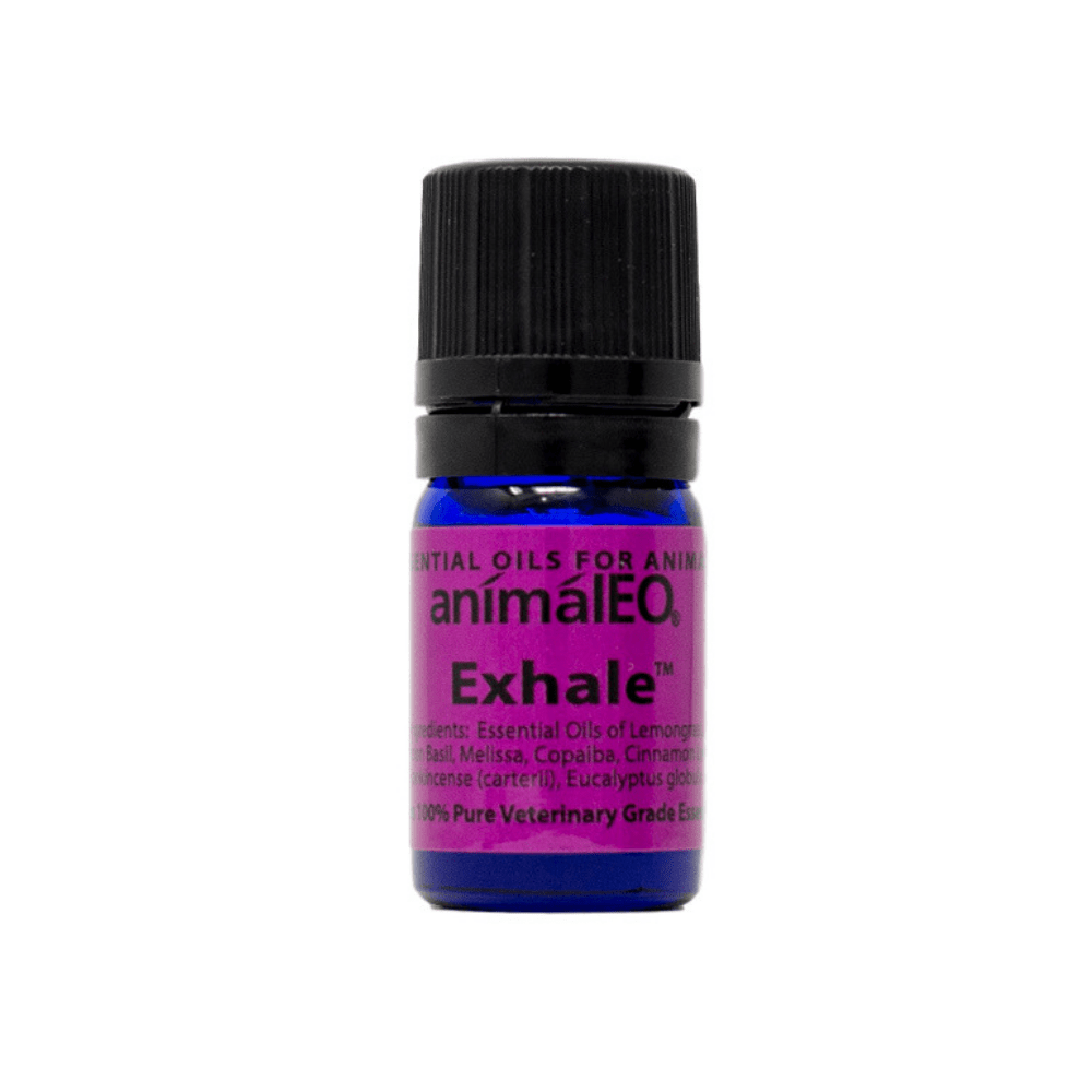 Exhale pet safe essential oil blend by animalEO for respiratory support